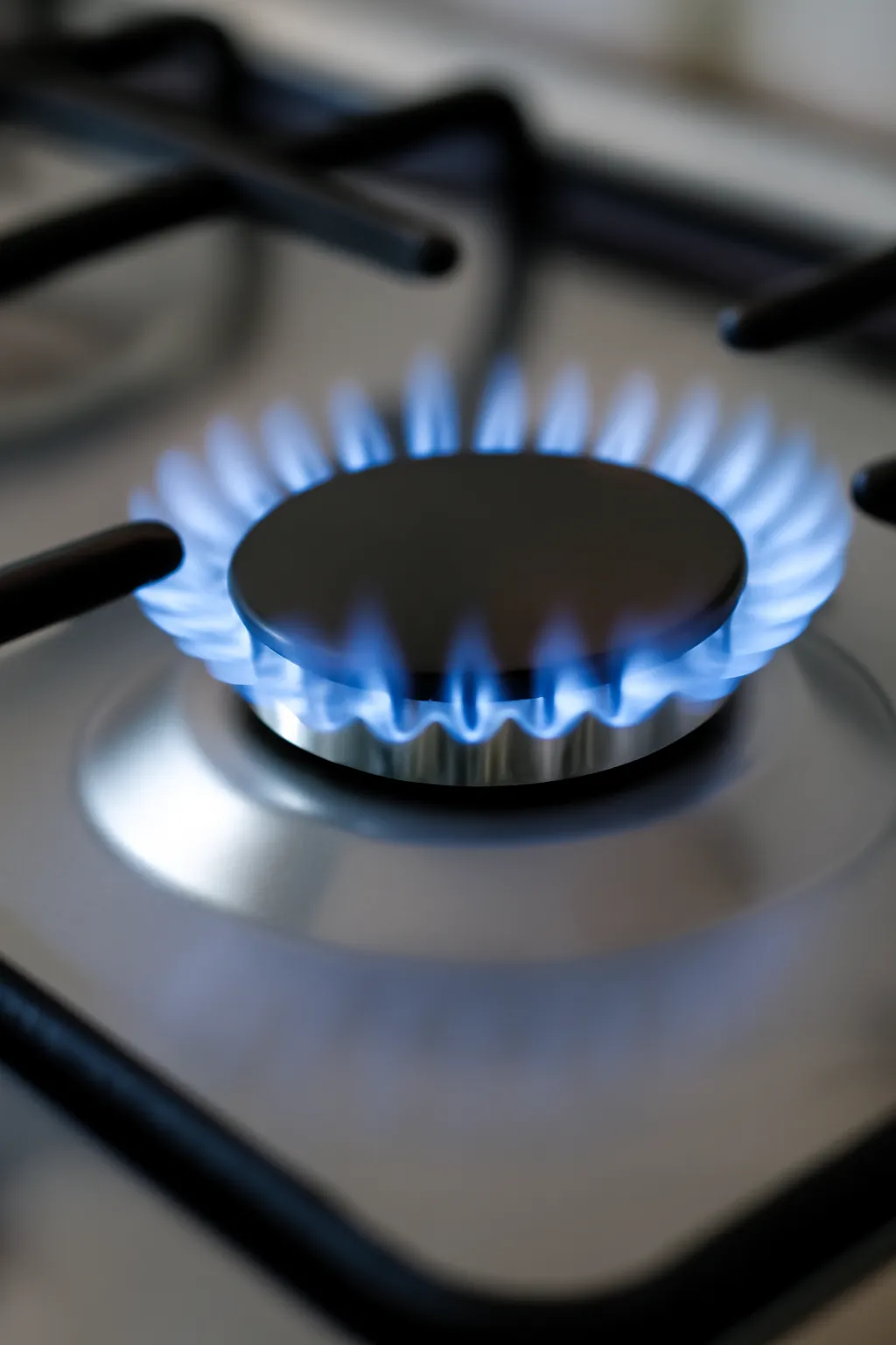 도시가스 lpg 차이