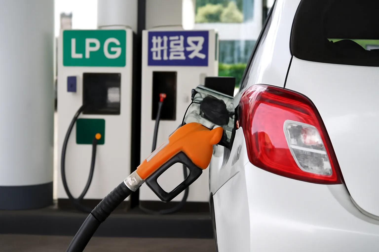 lpg 휘발유