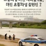 초등학생 대전